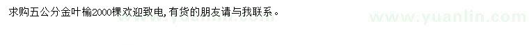 求購五公分金葉榆