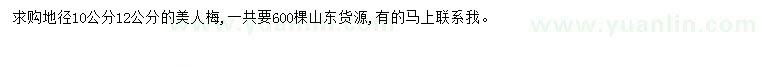 求購地徑10、12公分美人梅