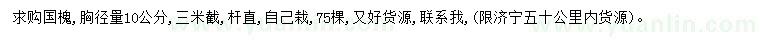 求購(gòu)胸徑10公分國(guó)槐