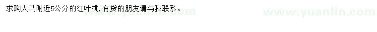 求購(gòu)5公分紅葉桃