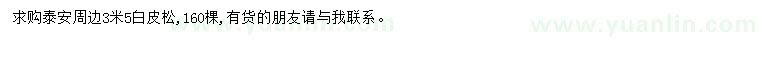 求購3米5白皮松