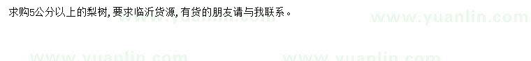 求購5公分以上梨樹