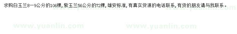 求購8-9公分白玉蘭