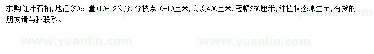 求購地徑10-12公分紅葉石楠