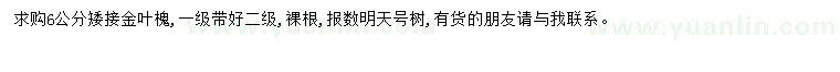 求購(gòu)6公分金葉槐