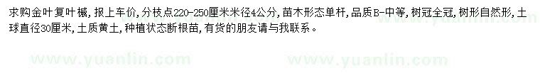 求購米徑4公分復(fù)葉槭