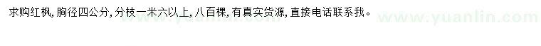 求購胸徑4公分紅楓