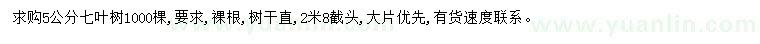 求購5公分七葉樹
