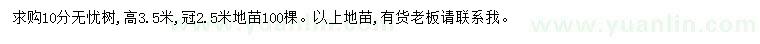 求購10公分無憂樹
