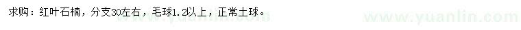 求購1.2米以上紅葉石楠