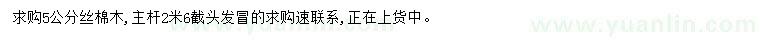 求購5公分絲棉木