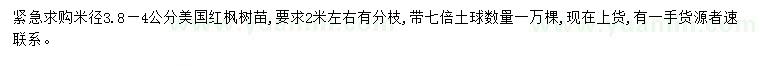 求購(gòu)米徑3.8-4公分美國(guó)紅楓