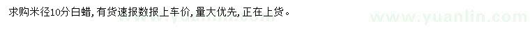 求購米徑10分白蠟