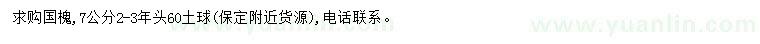 求購(gòu)7公分國(guó)槐