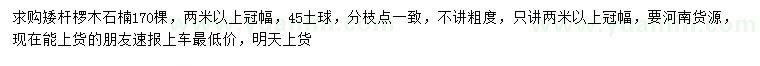 求購(gòu)冠幅2米以上欏木石楠