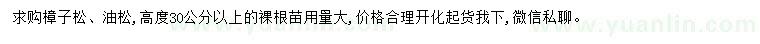 求購(gòu)高30公分以上樟子松、油松