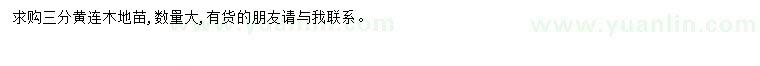 求購3公分黃連木