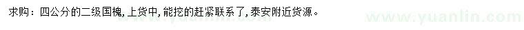 求購4公分國槐