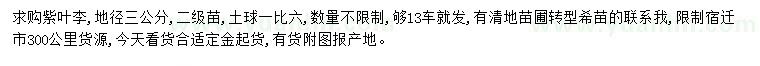 求購地徑3公分紫葉李