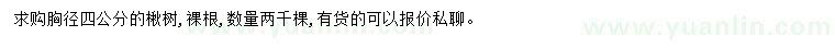 求購胸徑4公分楸樹