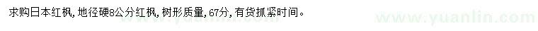 求購地徑8公分日本紅楓