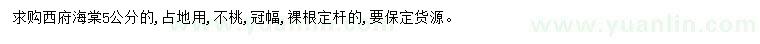 求購5公分西府海棠