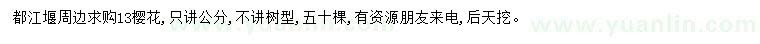 求購13公分櫻花
