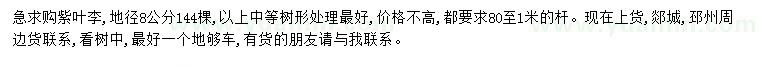 求購地徑8公分紫葉李