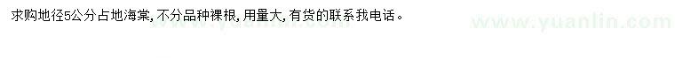 求購地徑5公分占地海棠