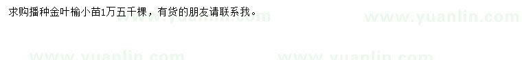 求購金葉榆