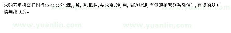 求購13-15公分五角楓
