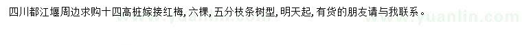 求購(gòu)14公分高紅梅