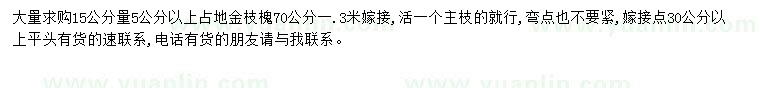求購(gòu)5公分以上金枝槐