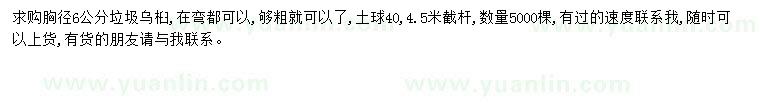 求購胸徑6公分烏桕
