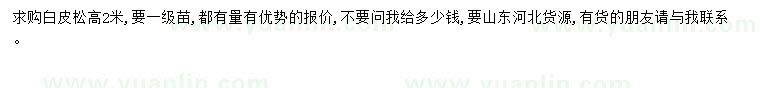 求購白皮松