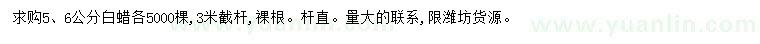 求購5、6公分白蠟