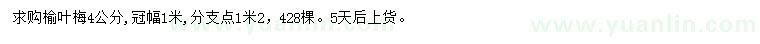 求購(gòu)4公分榆葉梅