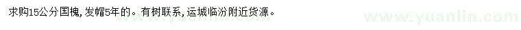 求購15公分國槐