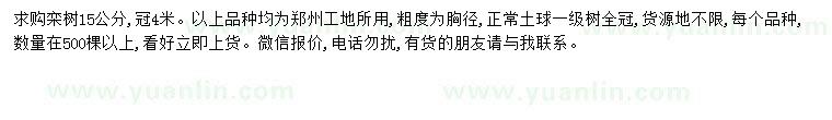求購15公分欒樹