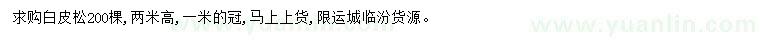 求購高2米白皮松