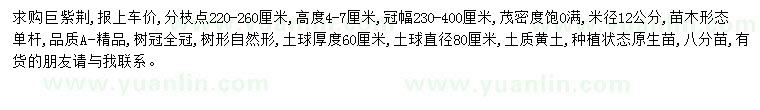 求購(gòu)米徑12公分巨紫荊