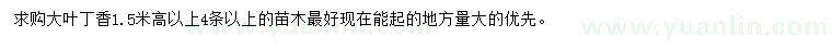 求購高1.5米以上大葉丁香