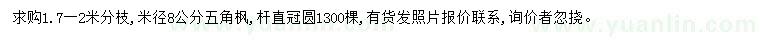求購米徑8公分五角楓