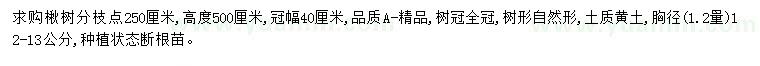 求購(gòu)胸徑12-13公分楸樹(shù)