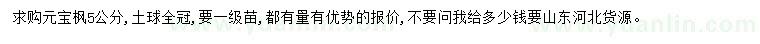 求購5公分元寶楓