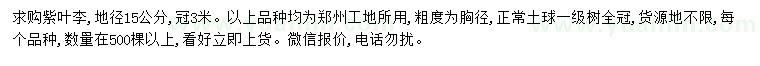 求購地徑15公分紫葉李
