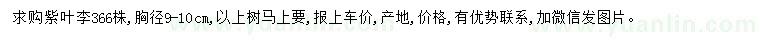 求購紫葉李胸徑9-10公分