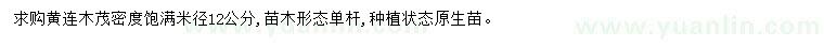 求購米徑12公分黃連木
