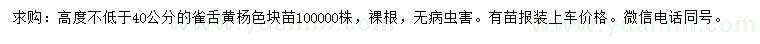 求購(gòu)高不低于40公分雀舌黃楊