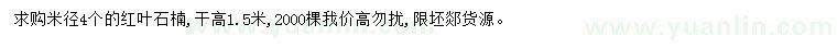 求購米徑4公分紅葉石楠
